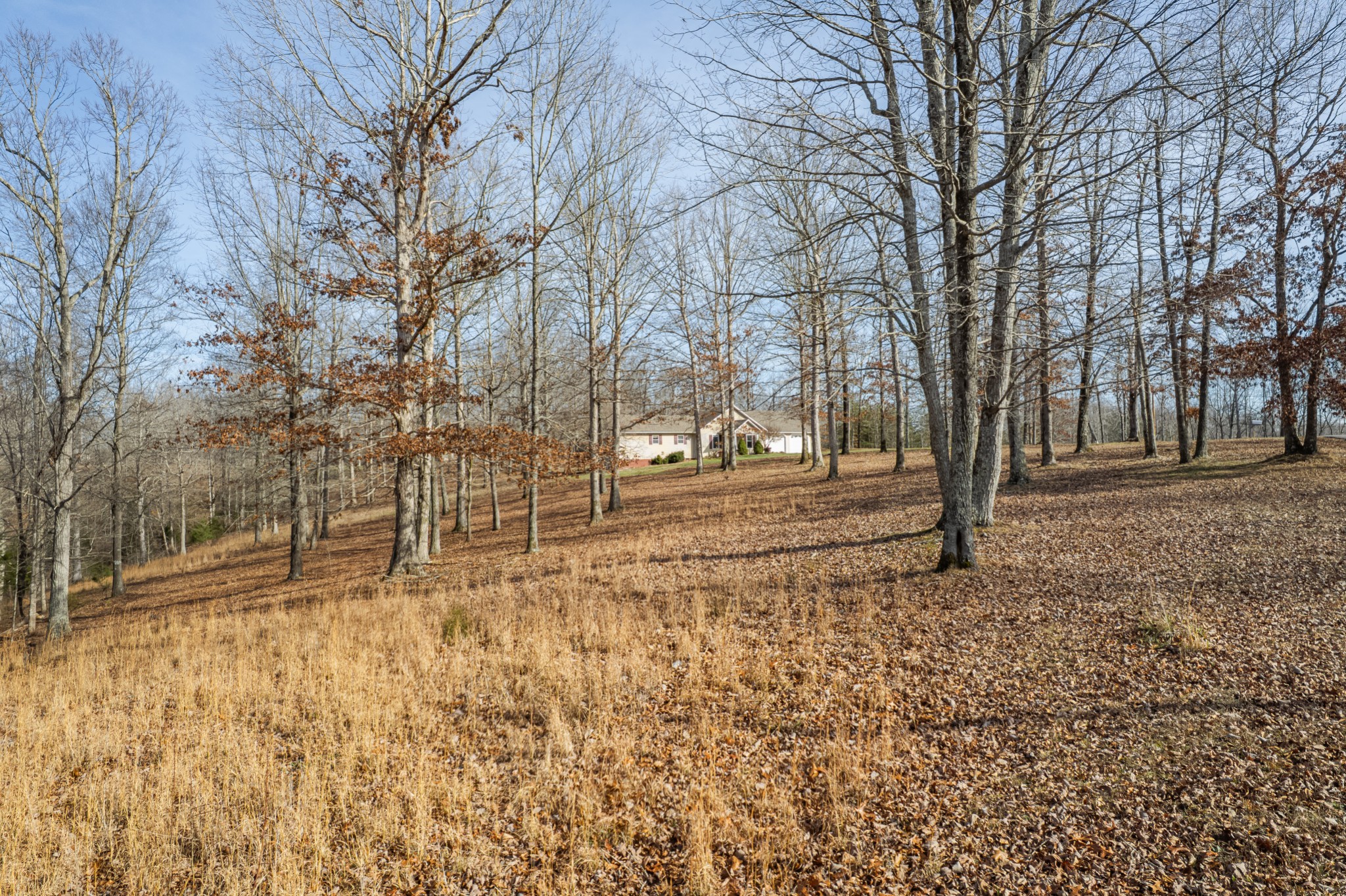 104 Zimmerman Road Hampshire, TN 38461 - Photo 50 of 73 a view of empty space with large trees