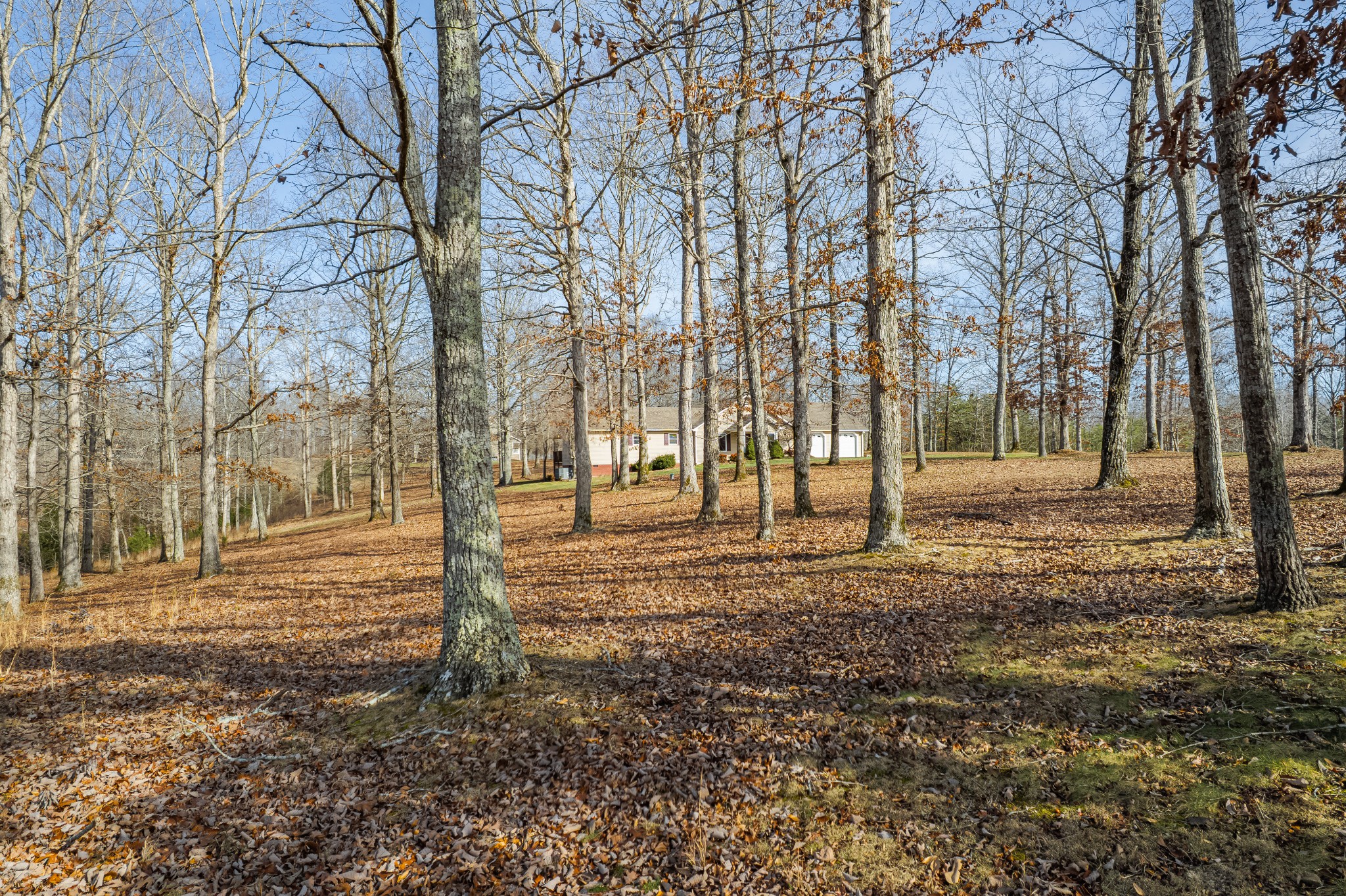 104 Zimmerman Road Hampshire, TN 38461 - Photo 53 of 73