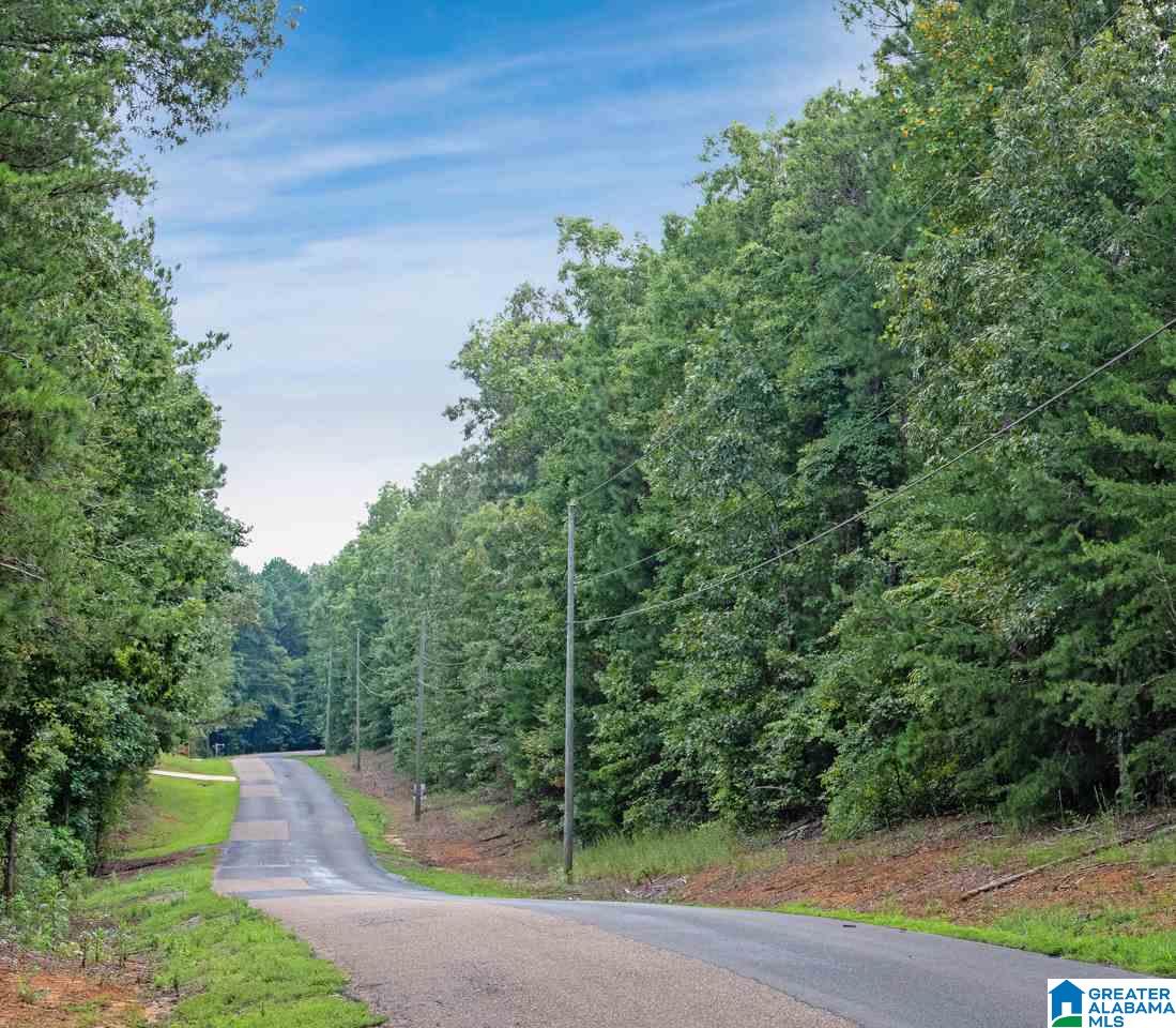 0 Harbor Light Trail, Unit 1 Jasper, AL 35504 - Photo 16 of 22