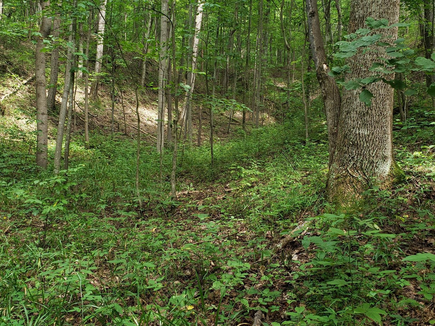 0 Lucas Road Peebles, OH 45660 - Photo 1 of 1