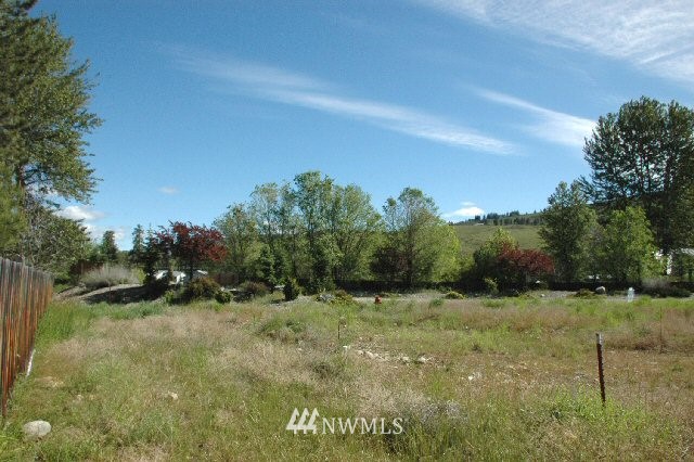 0 Greenwood Road Winthrop, WA 98862 - Photo 1 of 1 Gallery Image 1