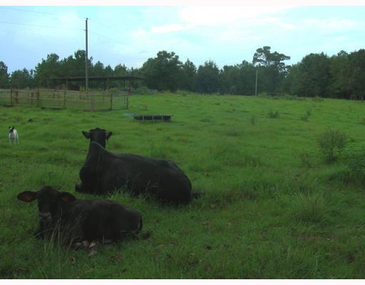 196 Ed Jones Road Lucedale, MS 39452 - Photo 8 of 8 Additional Photo