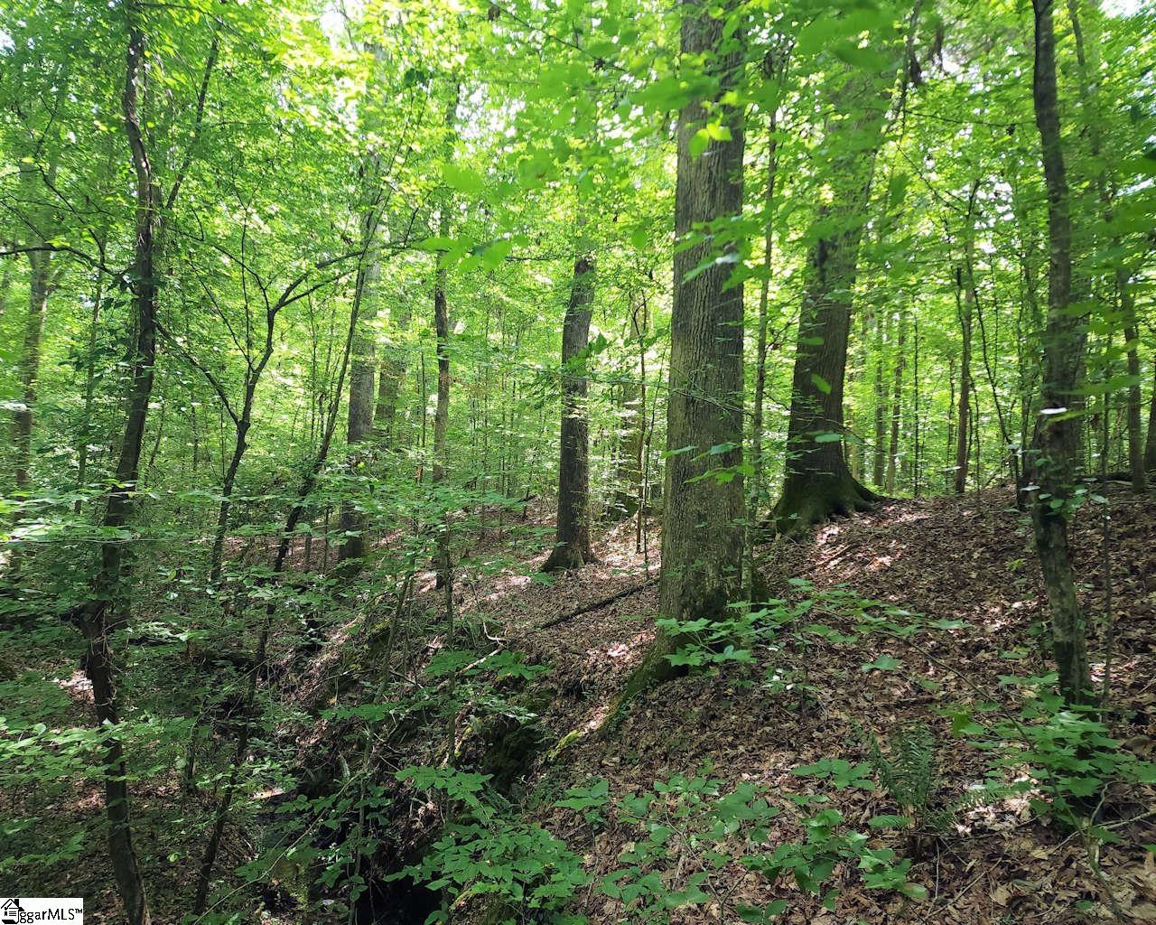 252 Highway Ware Shoals Ware Shoals, SC 29692 - Photo 11 of 17