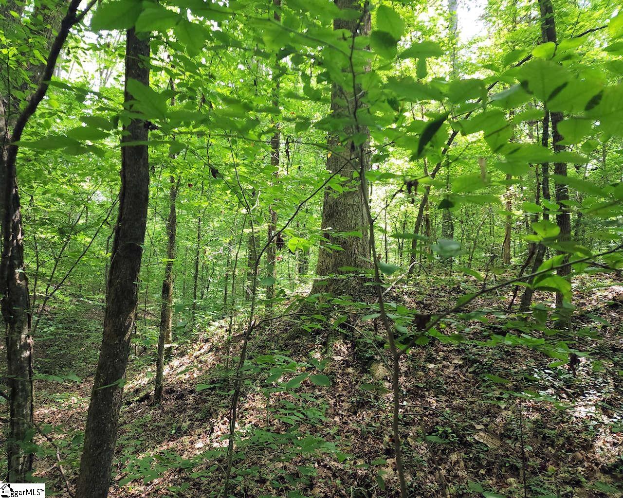 252 Highway Ware Shoals Ware Shoals, SC 29692 - Photo 13 of 17