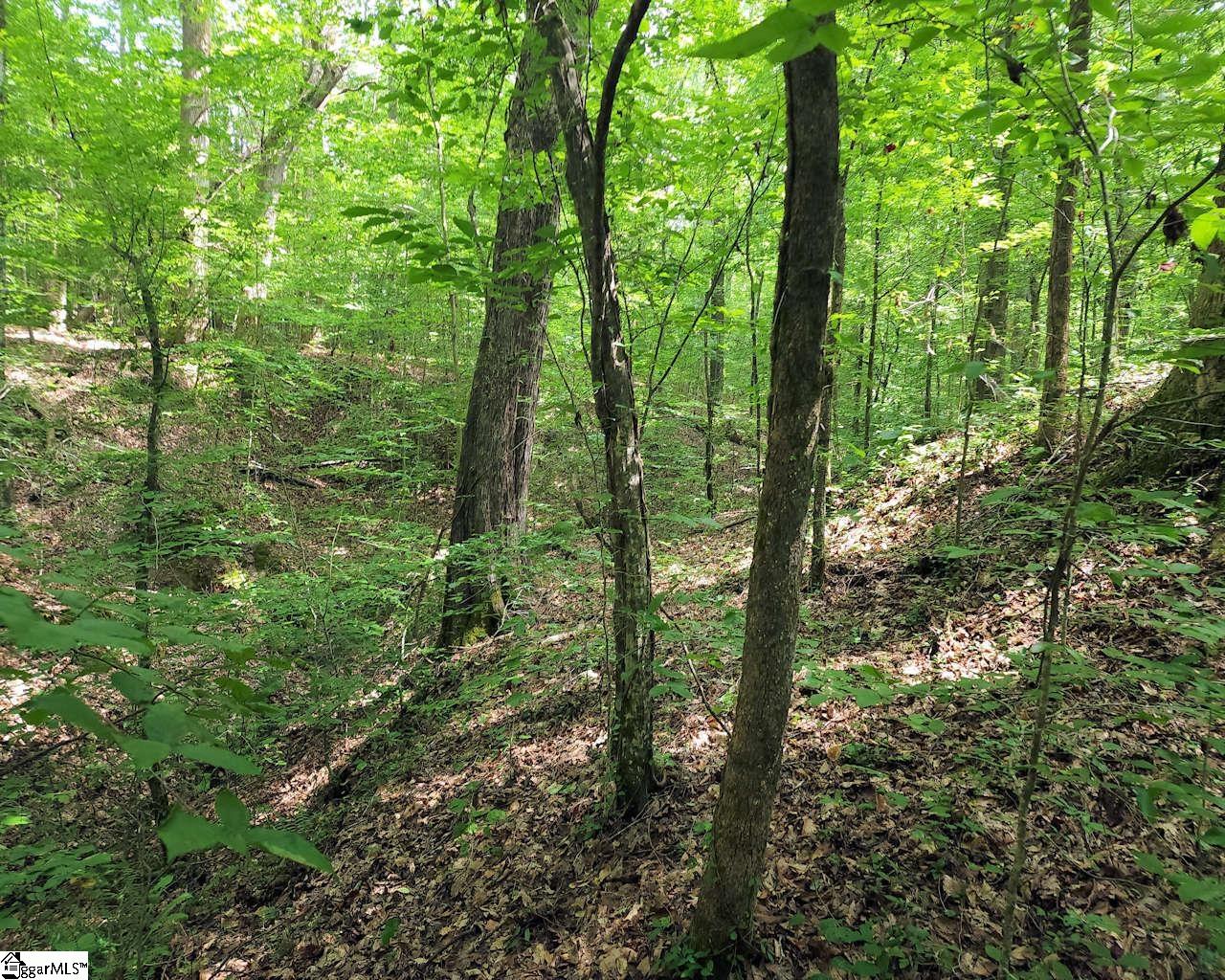 252 Highway Ware Shoals Ware Shoals, SC 29692 - Photo 14 of 17