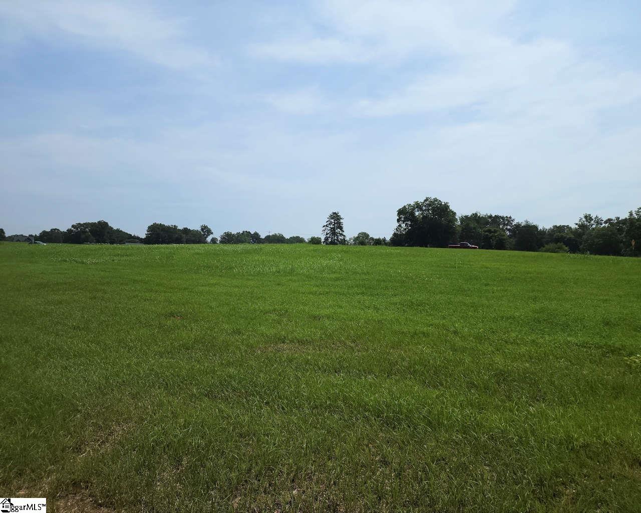 252 Highway Ware Shoals Ware Shoals, SC 29692 - Photo 15 of 17