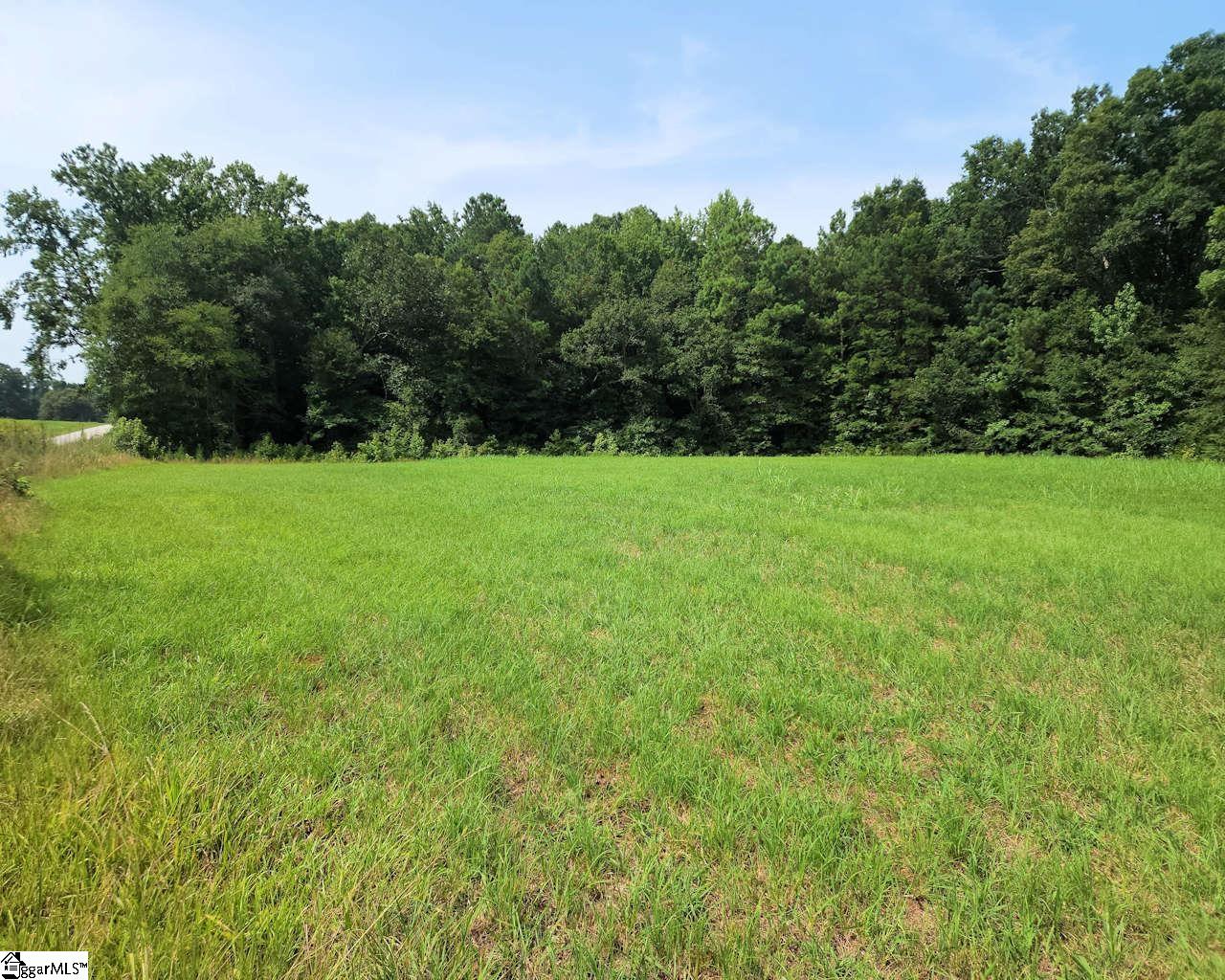 252 Highway Ware Shoals Ware Shoals, SC 29692 - Photo 3 of 17