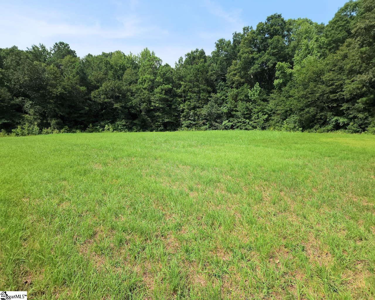 252 Highway Ware Shoals Ware Shoals, SC 29692 - Photo 4 of 17