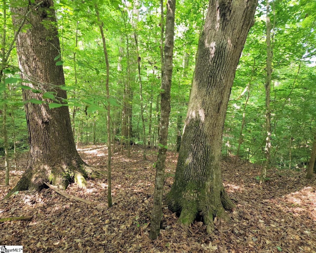 252 Highway Ware Shoals Ware Shoals, SC 29692 - Photo 5 of 17