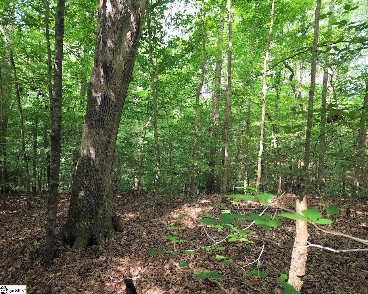 252 Highway Ware Shoals Ware Shoals, SC 29692 - Photo 6 of 17