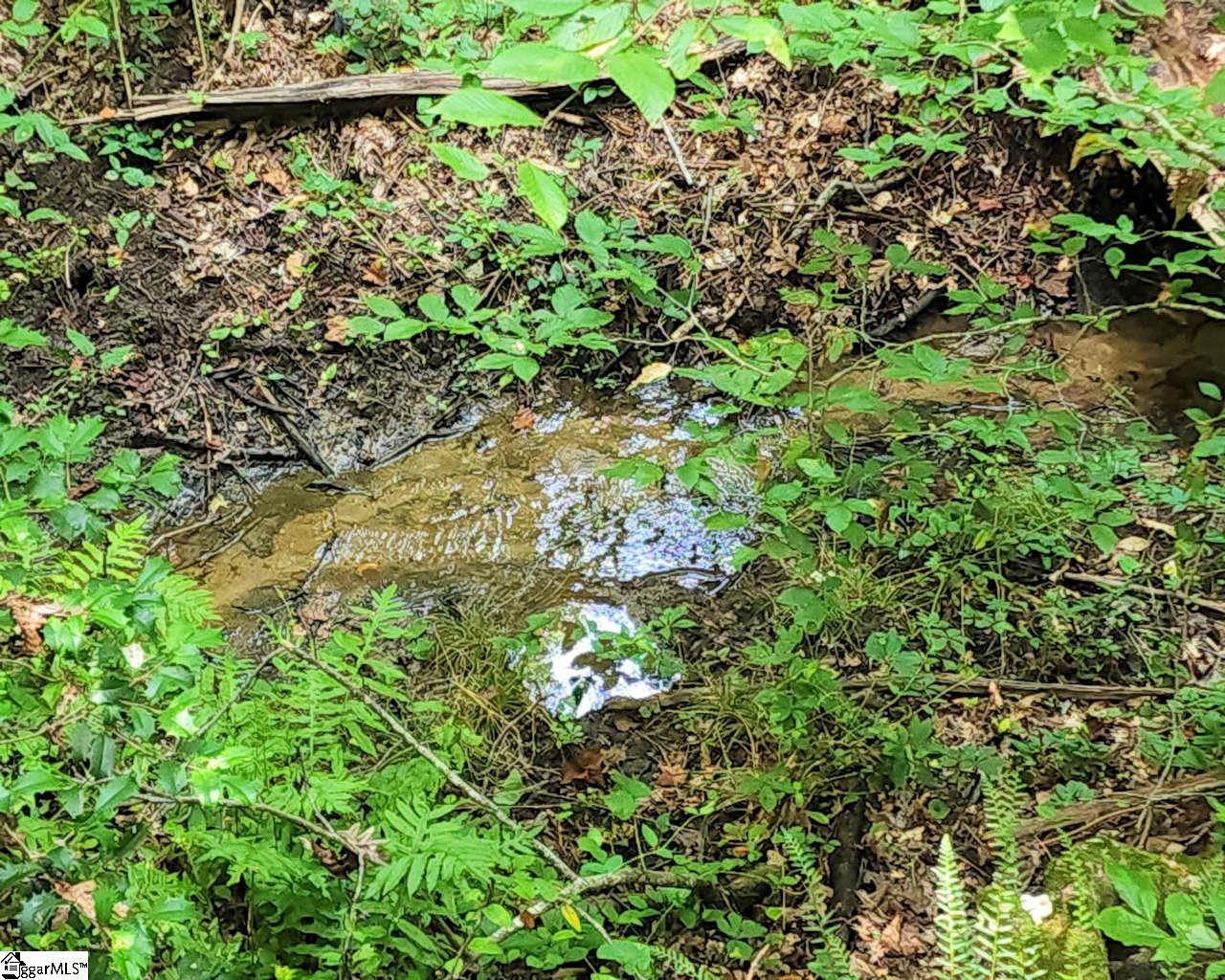 252 Highway Ware Shoals Ware Shoals, SC 29692 - Photo 7 of 17