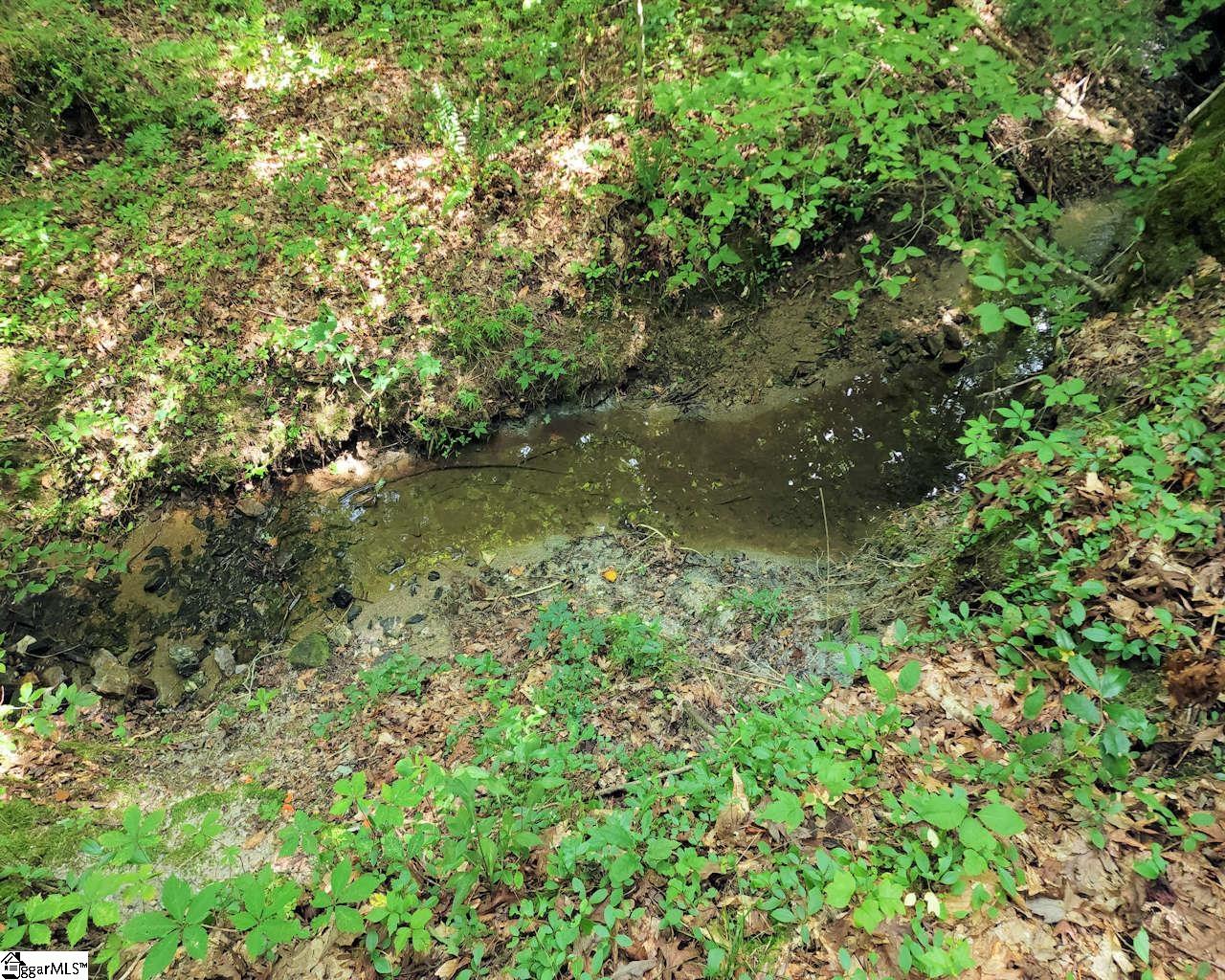 252 Highway Ware Shoals Ware Shoals, SC 29692 - Photo 9 of 17