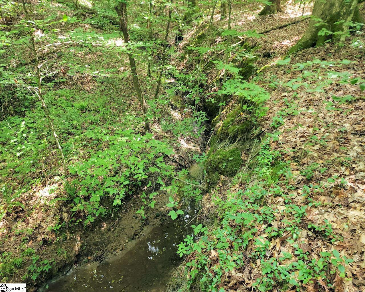 252 Highway Ware Shoals Ware Shoals, SC 29692 - Photo 10 of 17