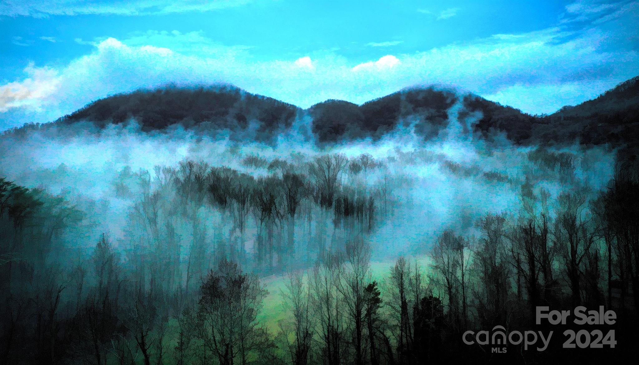 376 Page Farm Road Tryon, NC 28782 - Photo 24 of 34 a view of a forest