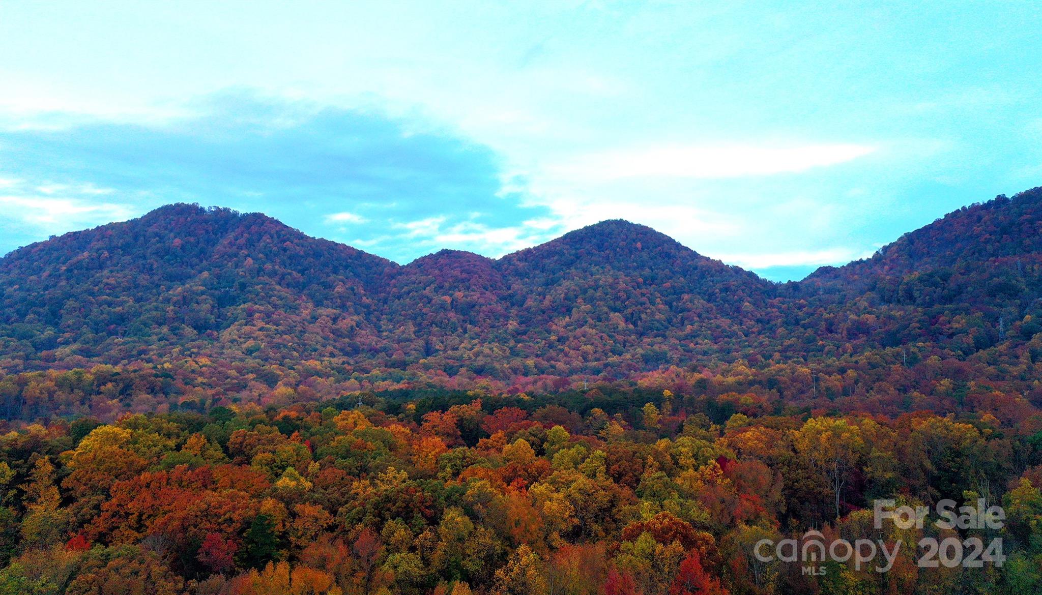 376 Page Farm Road Tryon, NC 28782 - Photo 25 of 34 a view of city and mountain