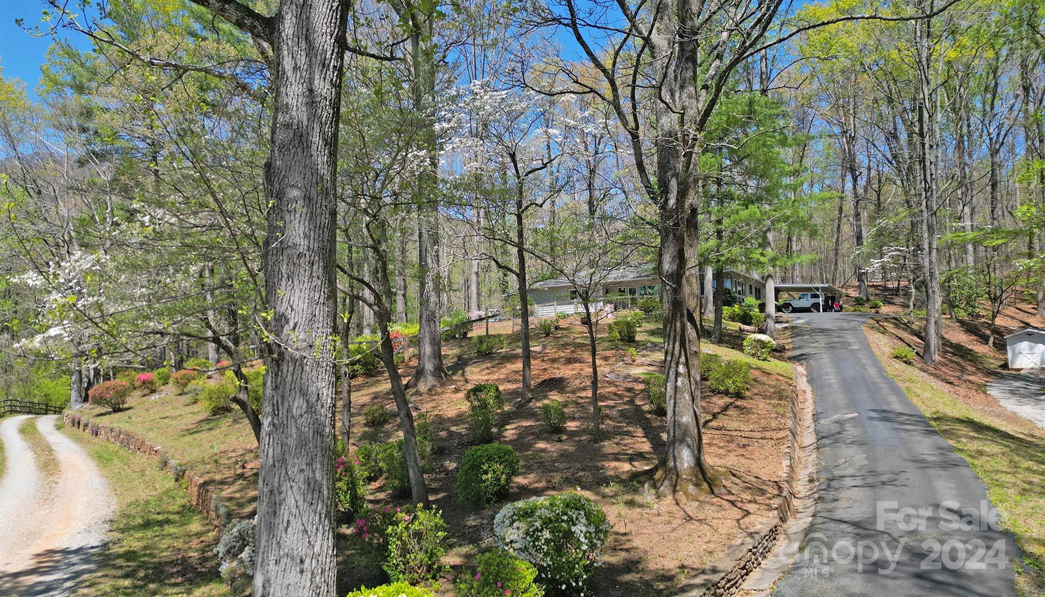 376 Page Farm Road Tryon, NC 28782 - Photo 31 of 34 a view of yard