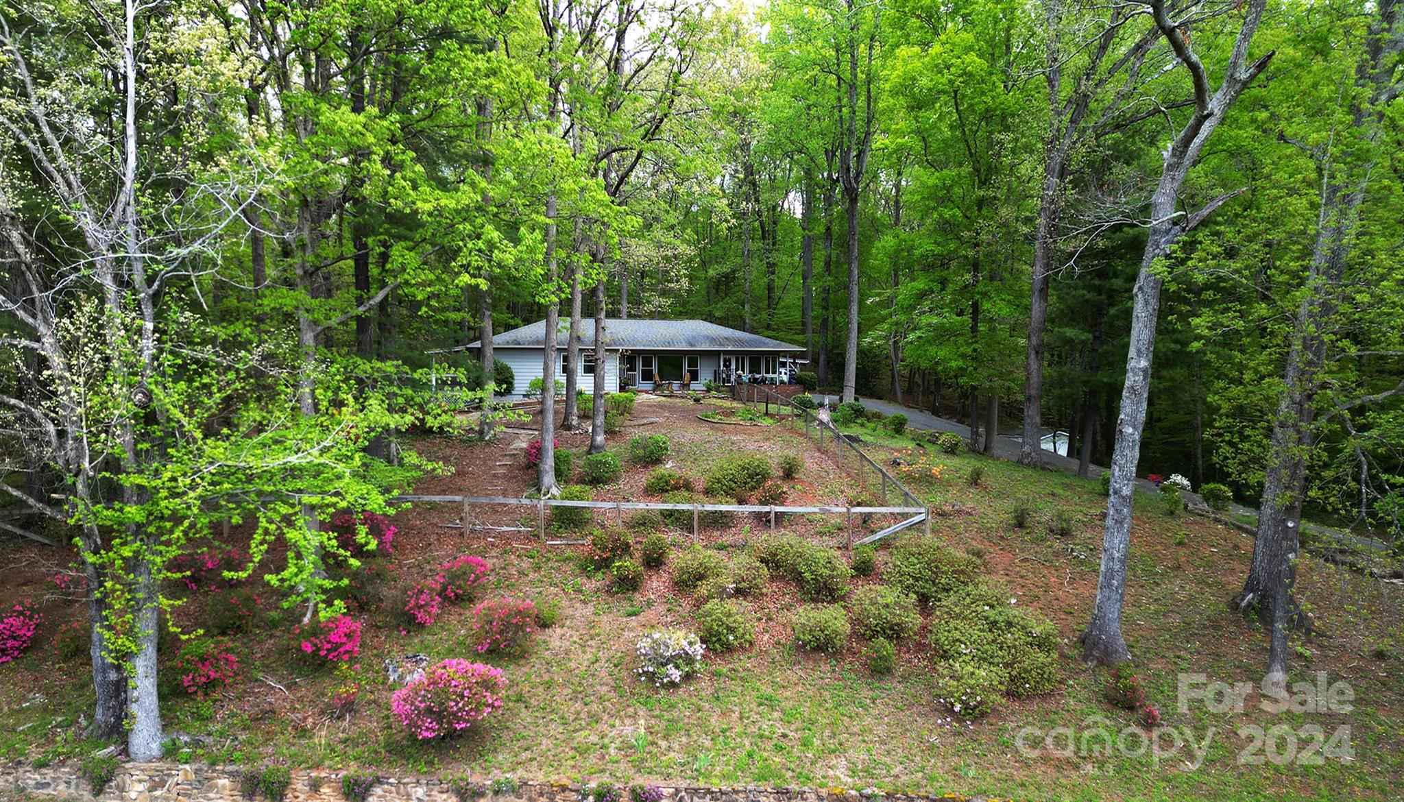376 Page Farm Road Tryon, NC 28782 - Photo 33 of 34 a view of a garden with plants and large trees
