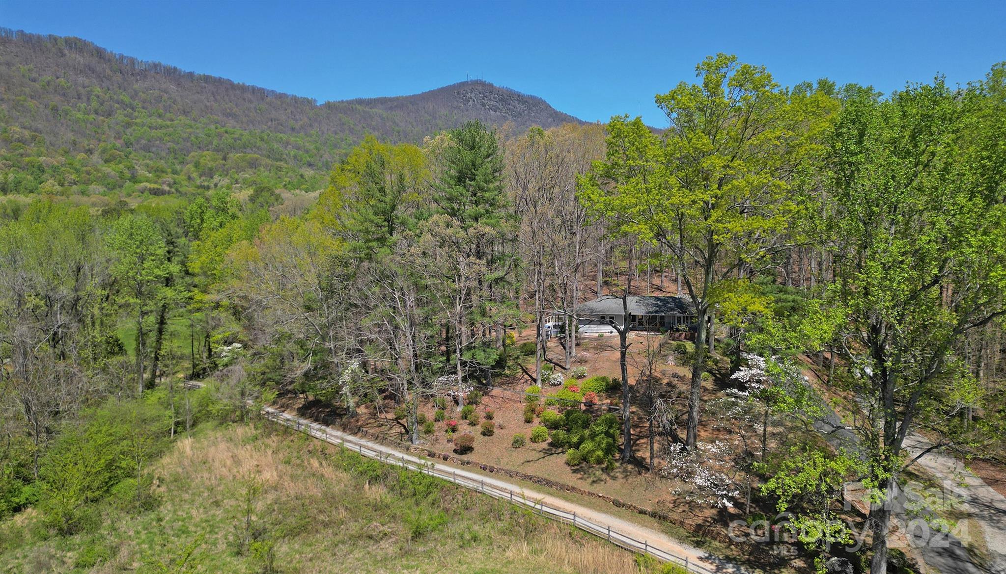 376 Page Farm Road Tryon, NC 28782 - Photo 34 of 34 a view of a forest with a mountain