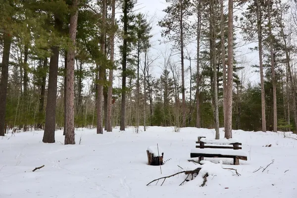$489,000 | 4440 Cherry Creek Road, Lewiston, MI 49756