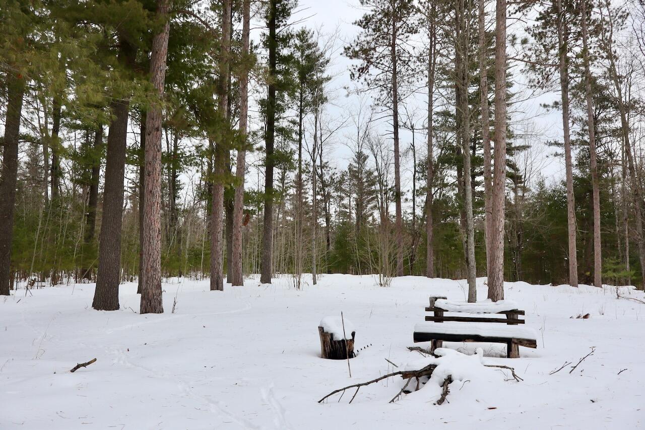 4440 Cherry Creek Road Lewiston, MI 49756 - Photo 19 of 58 019