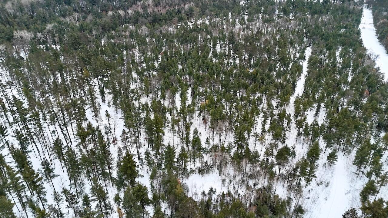 4440 Cherry Creek Road Lewiston, MI 49756 - Photo 26 of 58 025