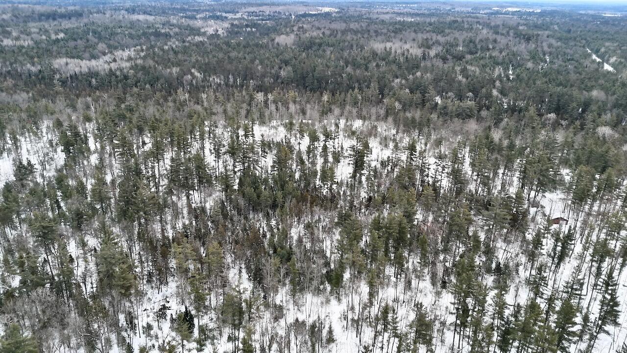 4440 Cherry Creek Road Lewiston, MI 49756 - Photo 27 of 58 DJI_20260209113910_0219_D