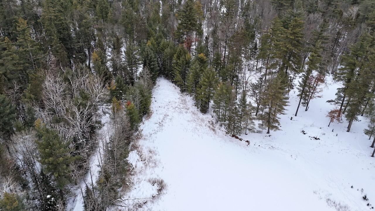 4440 Cherry Creek Road Lewiston, MI 49756 - Photo 29 of 58 DJI_20260209113757_0214_D