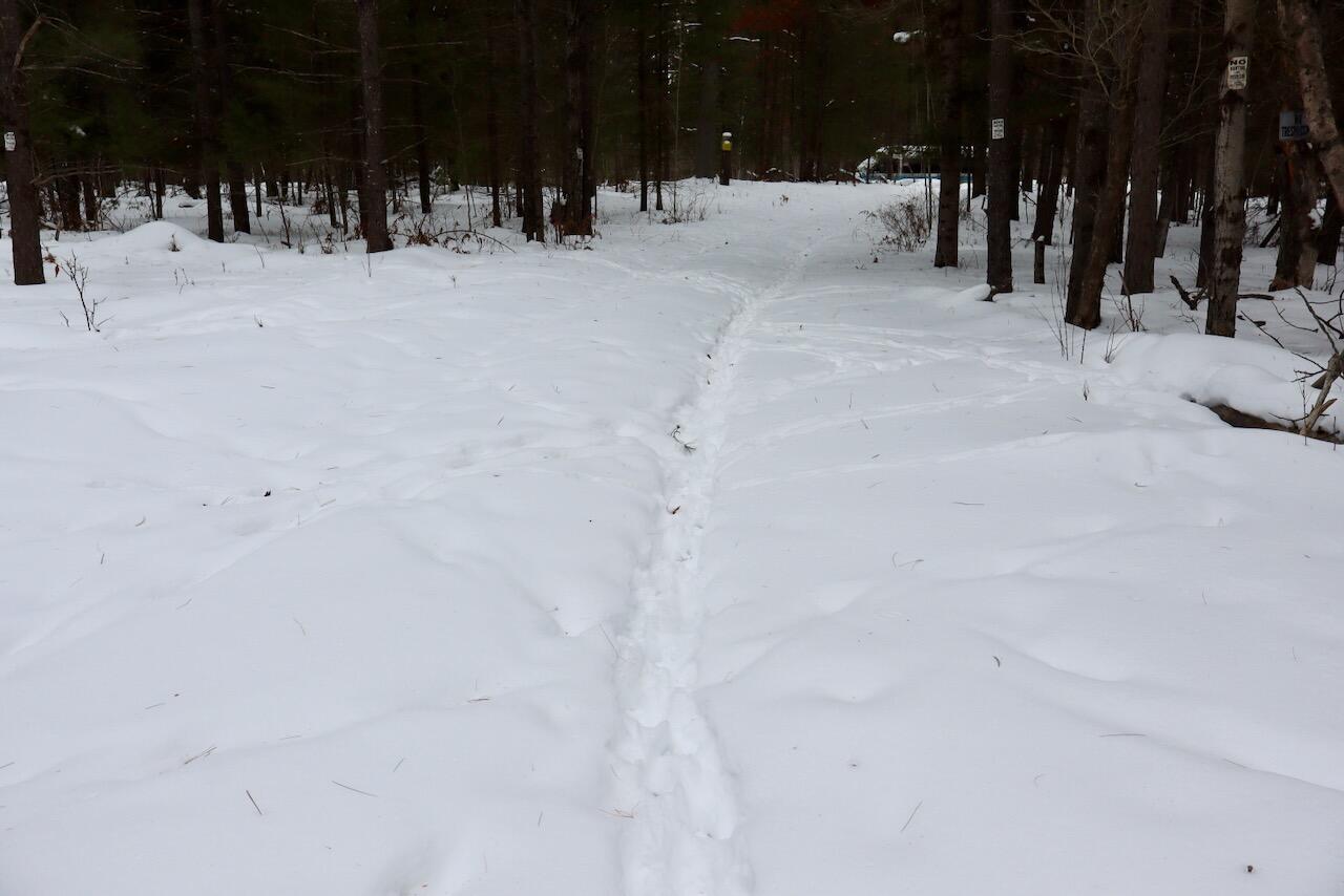 4440 Cherry Creek Road Lewiston, MI 49756 - Photo 30 of 58 IMG_1766