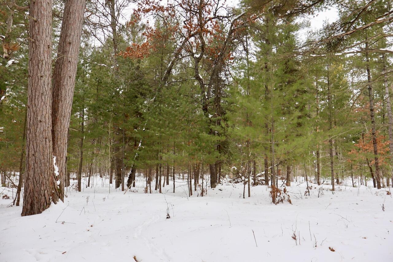 4440 Cherry Creek Road Lewiston, MI 49756 - Photo 31 of 58 IMG_1767