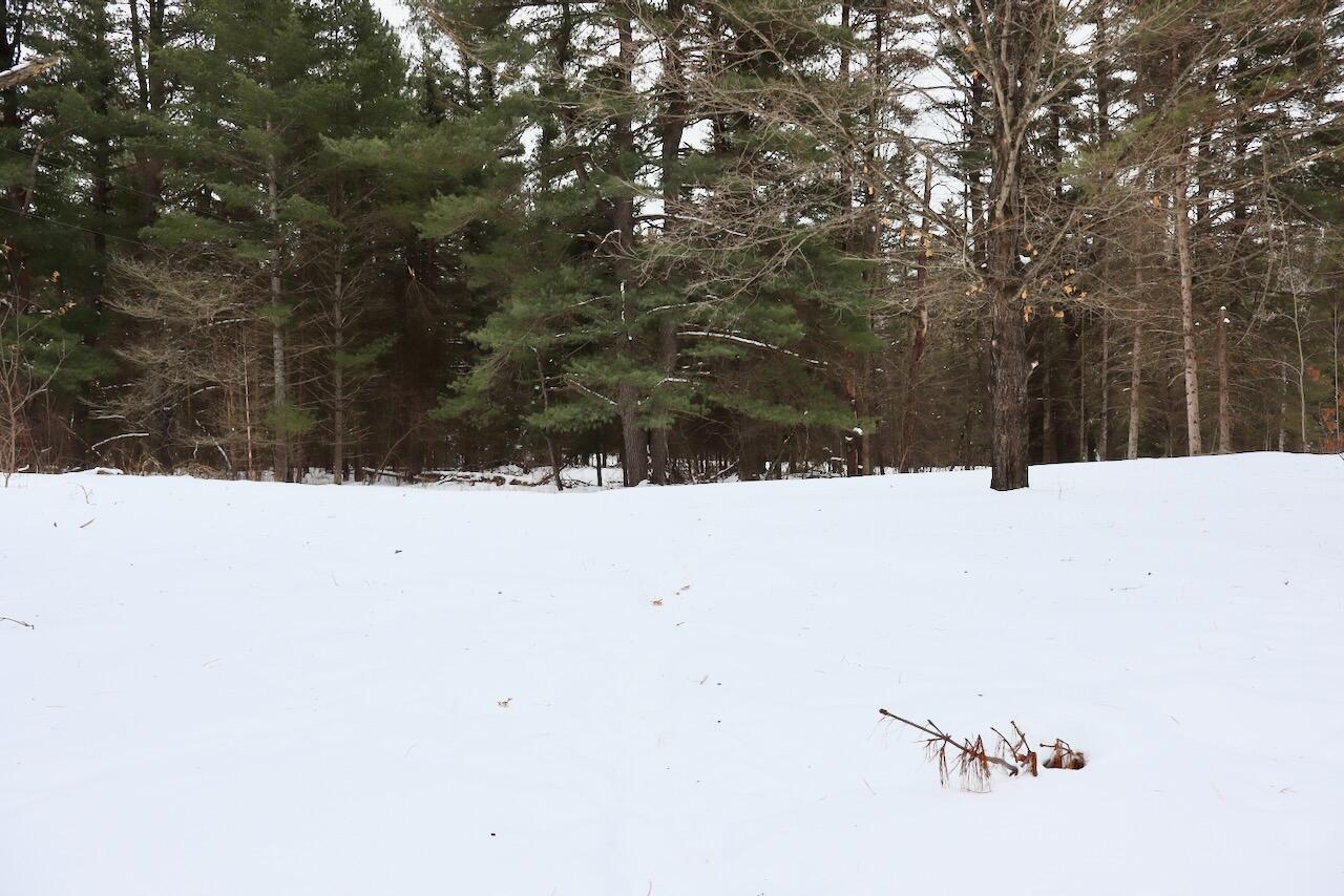 4440 Cherry Creek Road Lewiston, MI 49756 - Photo 32 of 58 IMG_1768