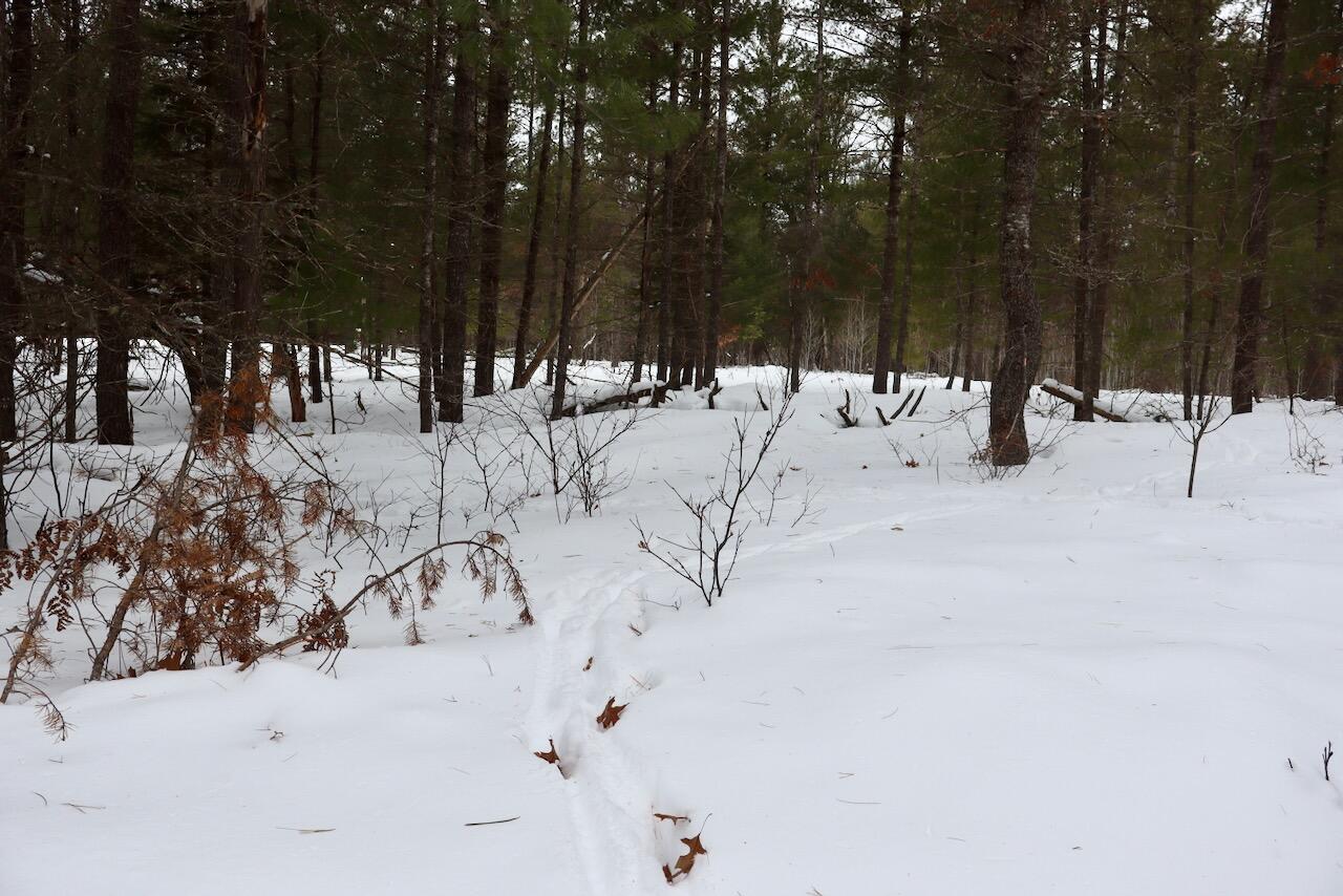 4440 Cherry Creek Road Lewiston, MI 49756 - Photo 33 of 58 IMG_1785