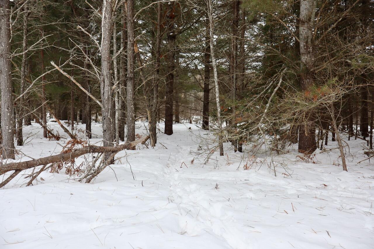 4440 Cherry Creek Road Lewiston, MI 49756 - Photo 34 of 58 IMG_1787