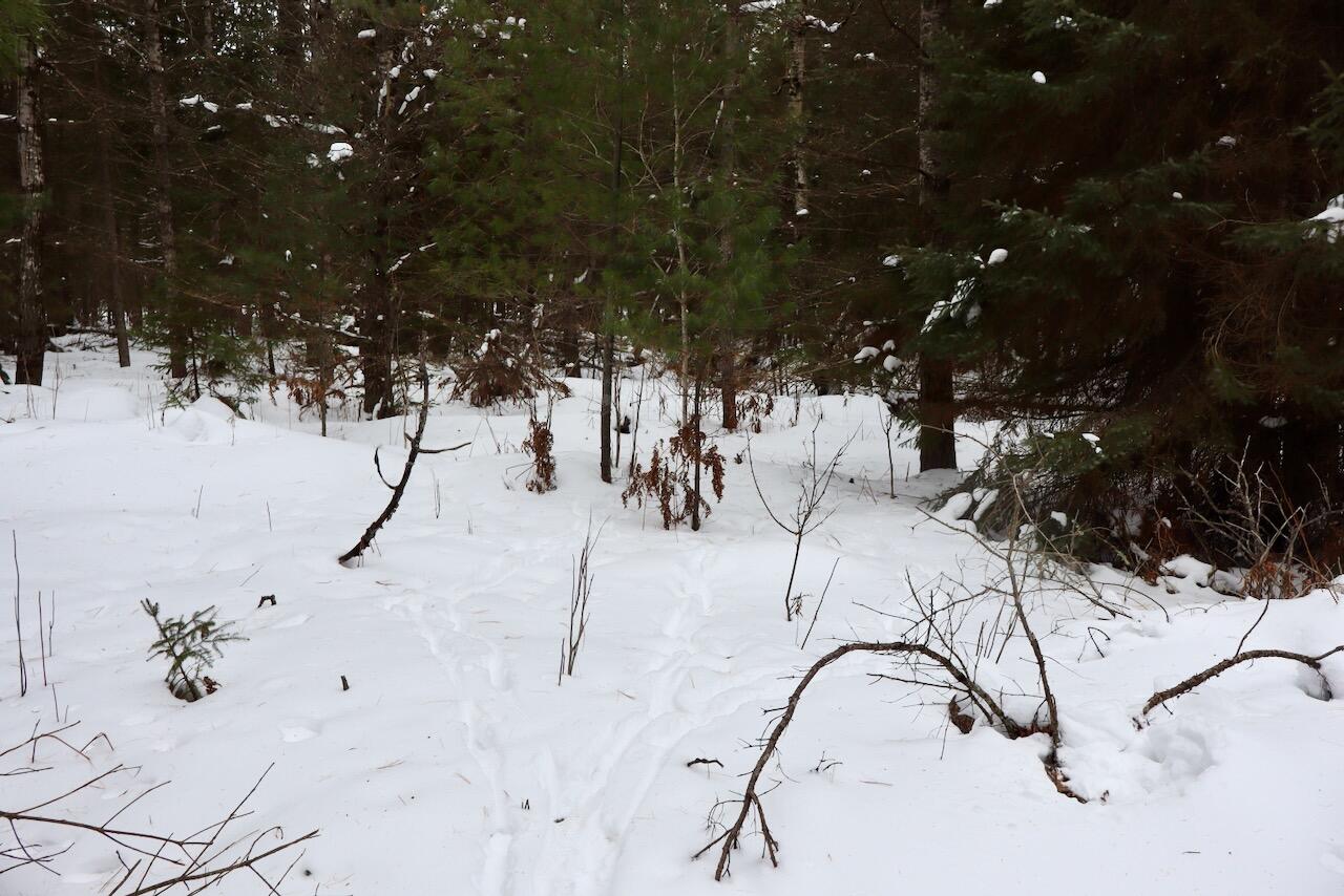 4440 Cherry Creek Road Lewiston, MI 49756 - Photo 36 of 58 IMG_1793