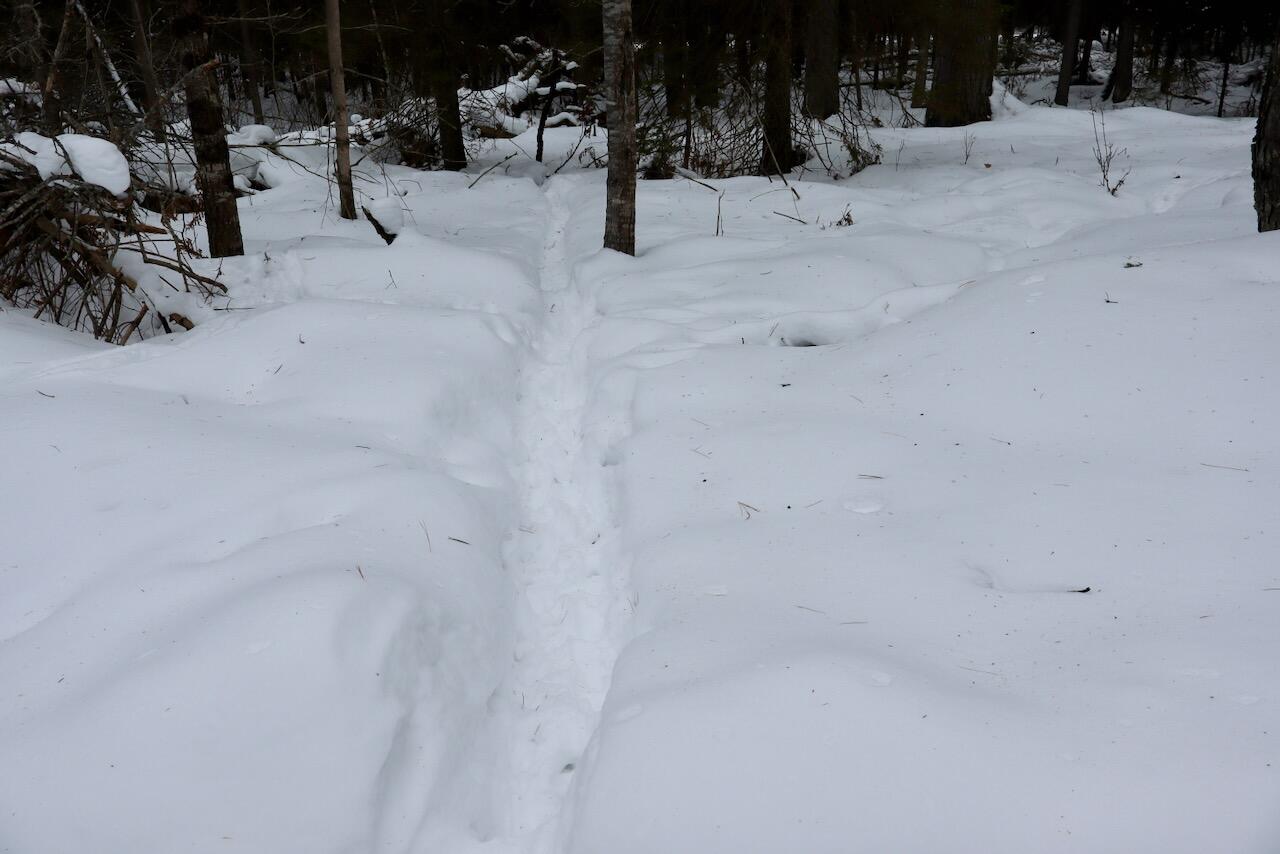 4440 Cherry Creek Road Lewiston, MI 49756 - Photo 37 of 58 IMG_1795