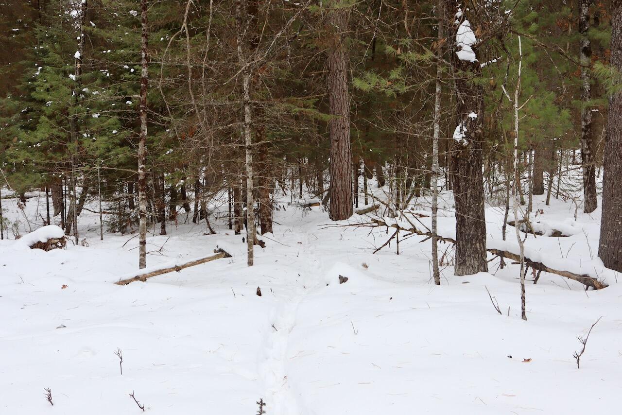 4440 Cherry Creek Road Lewiston, MI 49756 - Photo 38 of 58 IMG_1798