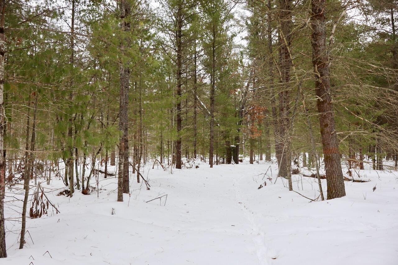 4440 Cherry Creek Road Lewiston, MI 49756 - Photo 39 of 58 IMG_1799