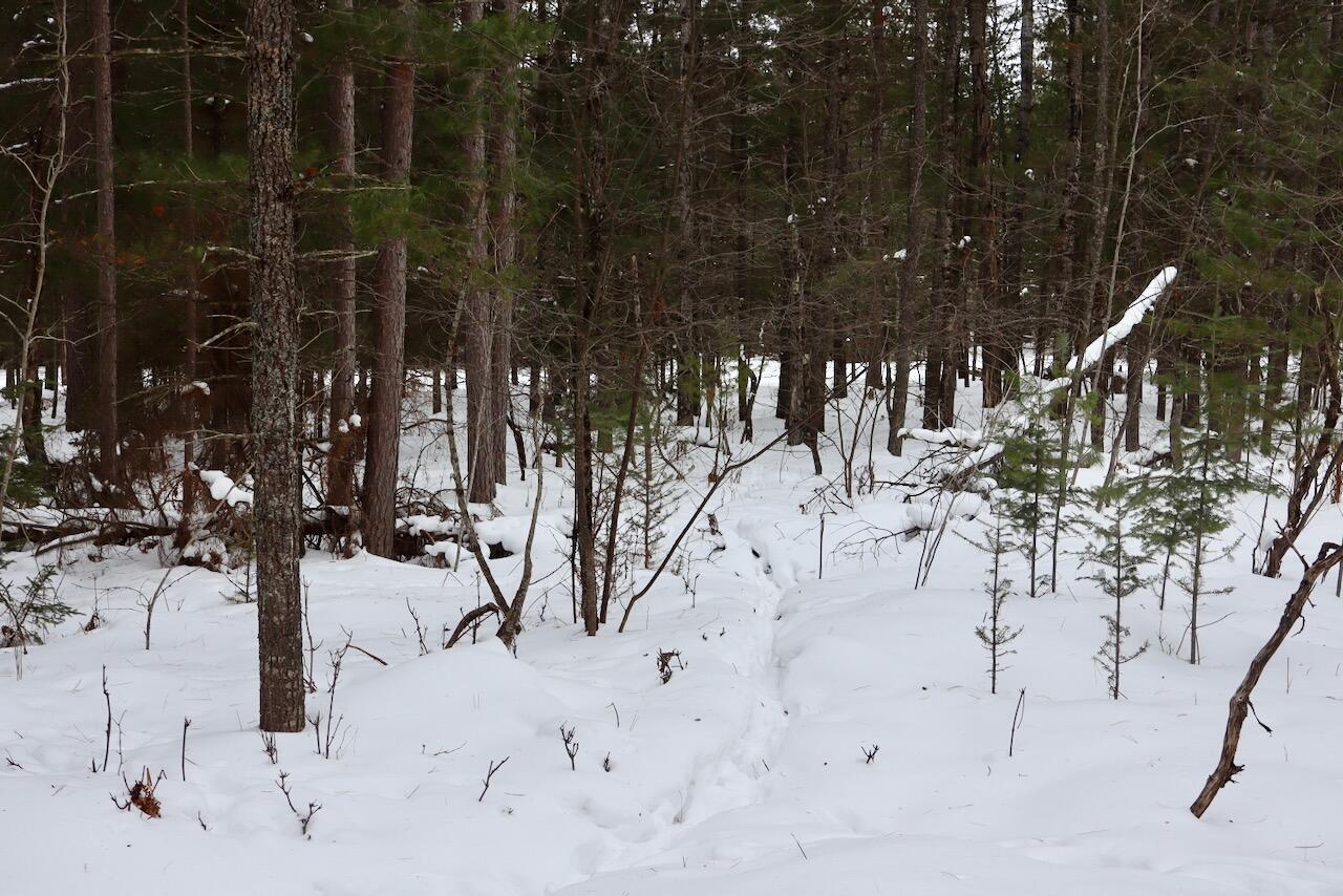 4440 Cherry Creek Road Lewiston, MI 49756 - Photo 40 of 58 IMG_1800