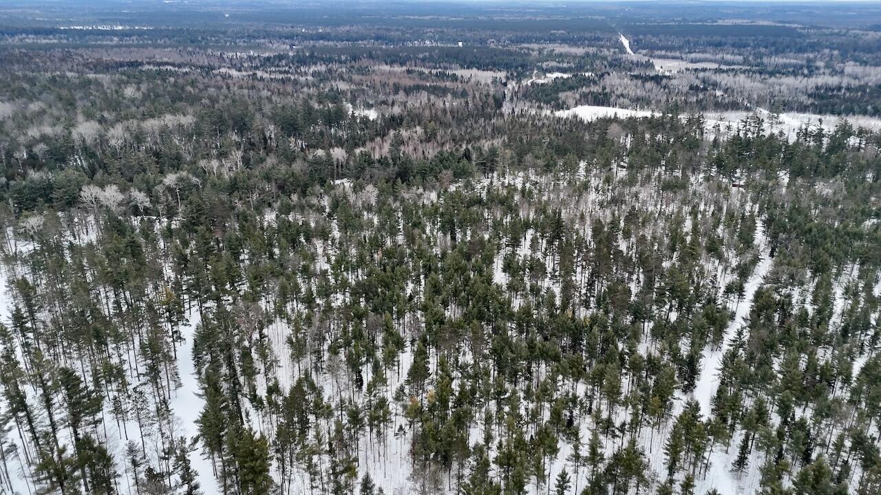 4440 Cherry Creek Road Lewiston, MI 49756 - Photo 4 of 58 004