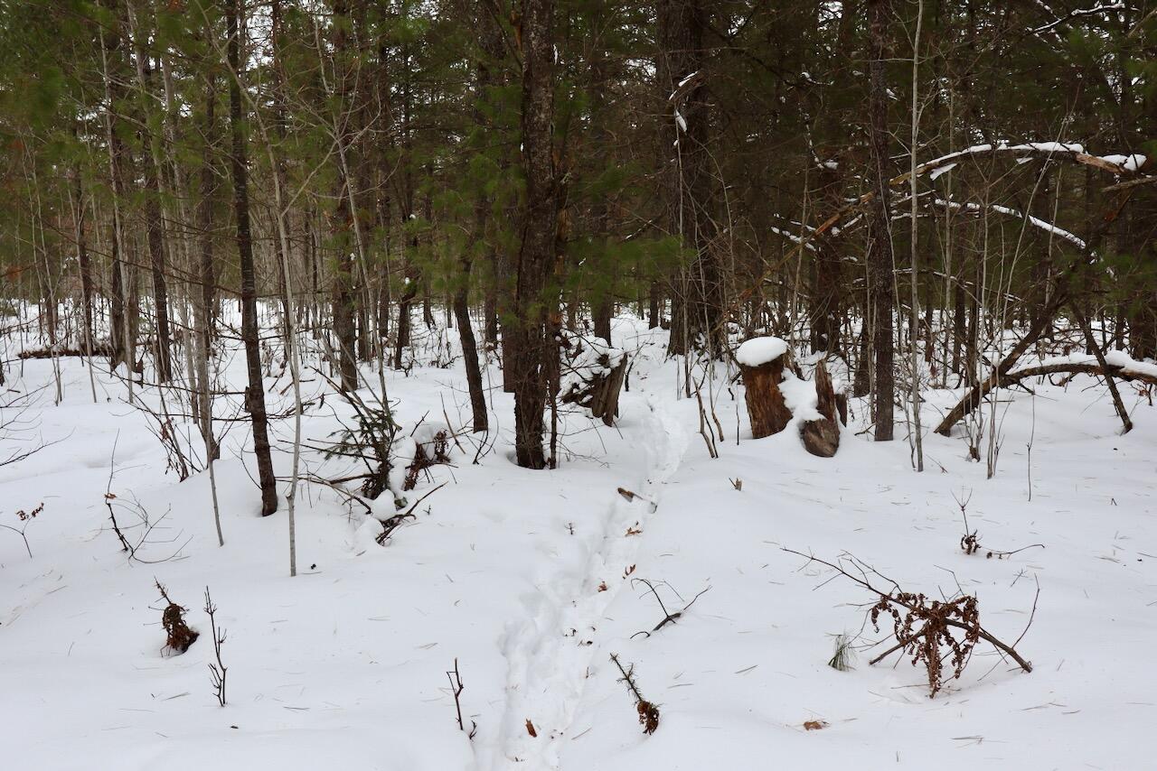 4440 Cherry Creek Road Lewiston, MI 49756 - Photo 43 of 58 IMG_1804