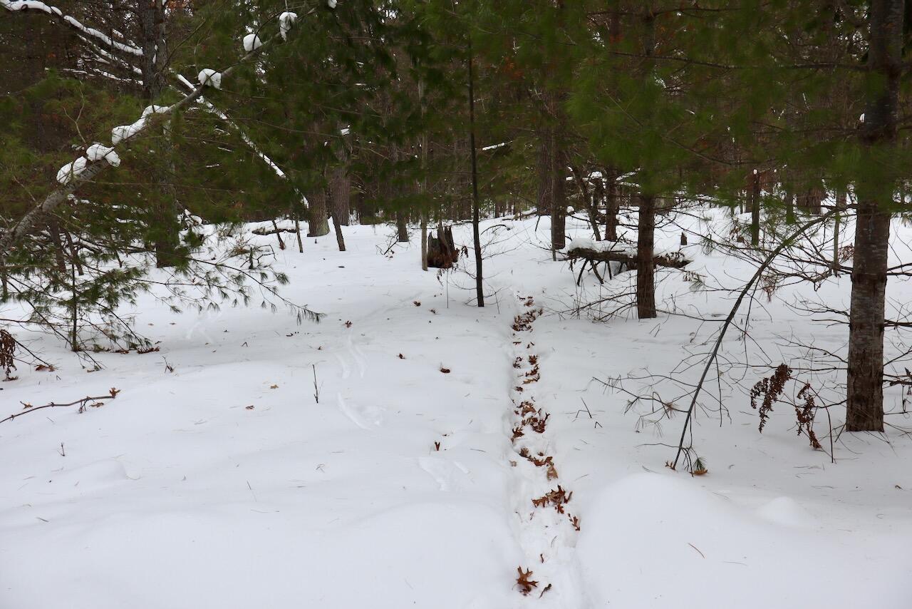 4440 Cherry Creek Road Lewiston, MI 49756 - Photo 44 of 58 IMG_1805