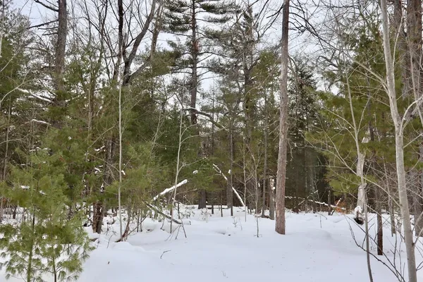 $489,000 | 4440 Cherry Creek Road, Lewiston, MI 49756