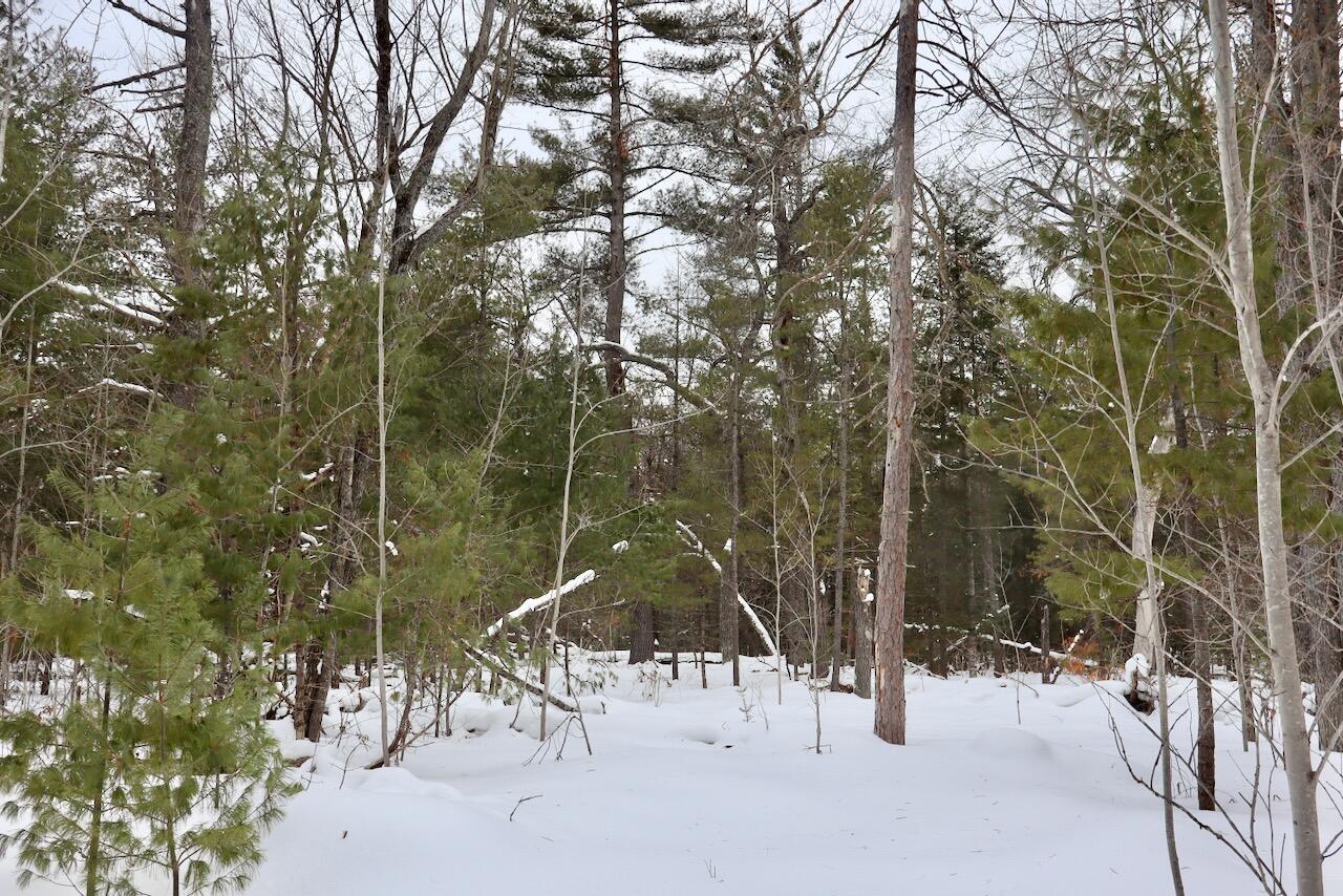 4440 Cherry Creek Road Lewiston, MI 49756 - Photo 45 of 58 IMG_1806