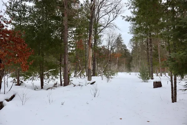$489,000 | 4440 Cherry Creek Road, Lewiston, MI 49756