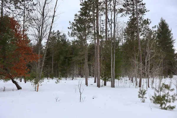 $489,000 | 4440 Cherry Creek Road, Lewiston, MI 49756