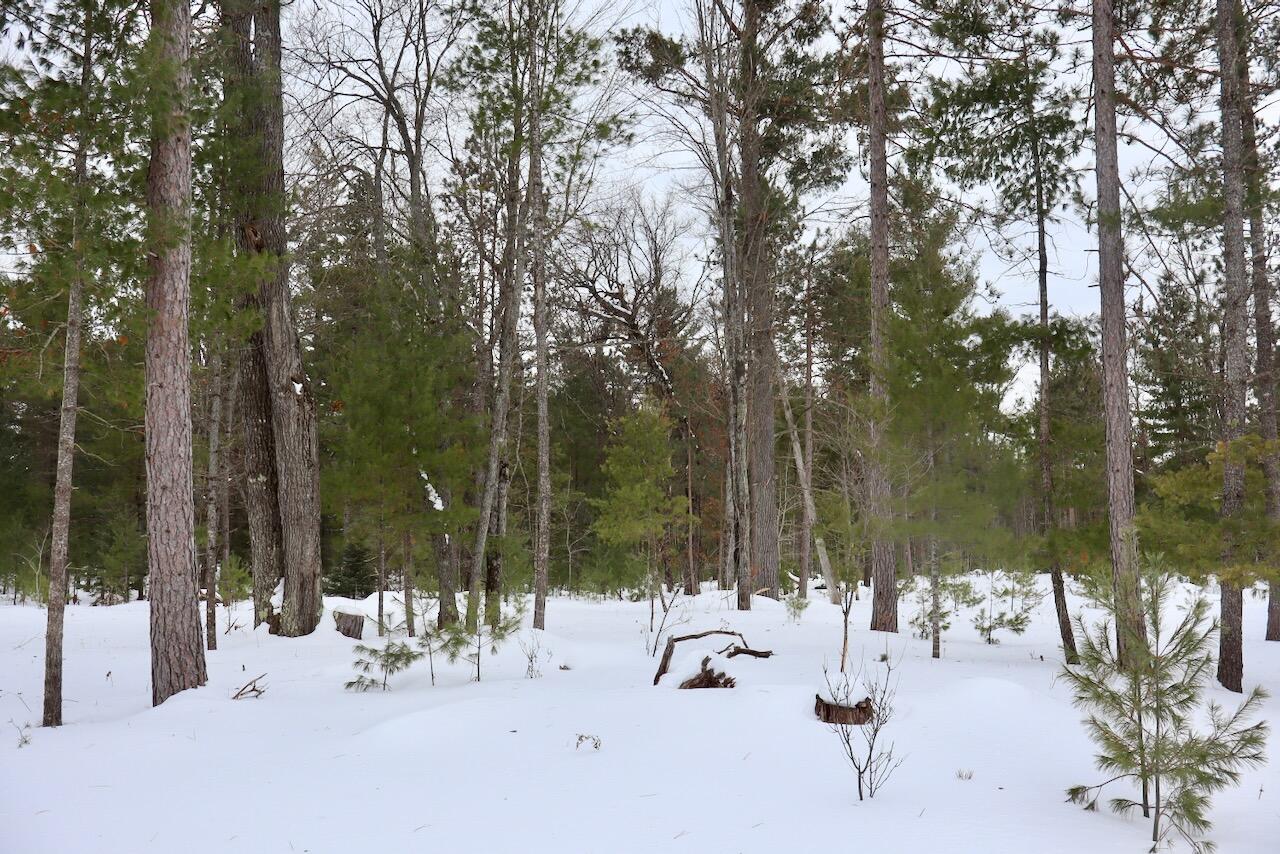 4440 Cherry Creek Road Lewiston, MI 49756 - Photo 49 of 58 IMG_1811