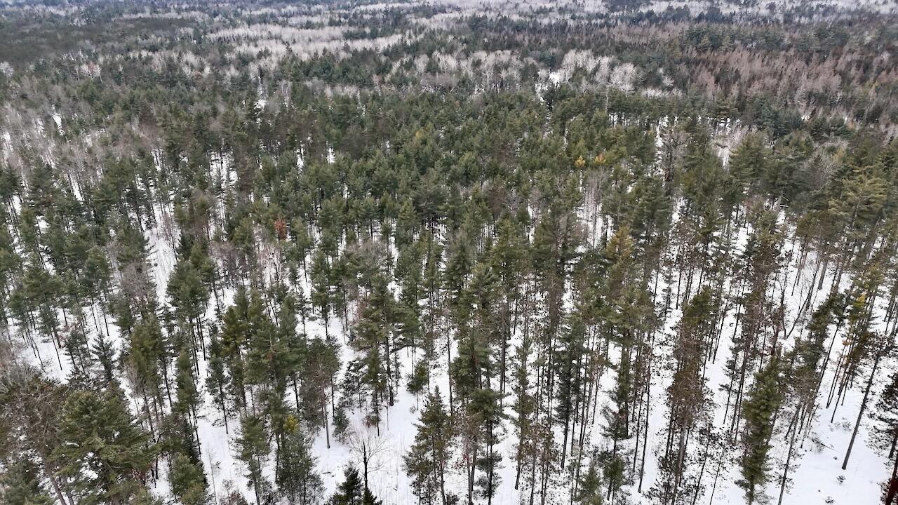 4440 Cherry Creek Road Lewiston, MI 49756 - Photo 5 of 58 005