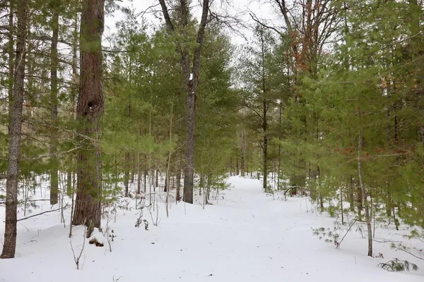 $489,000 | 4440 Cherry Creek Road, Lewiston, MI 49756