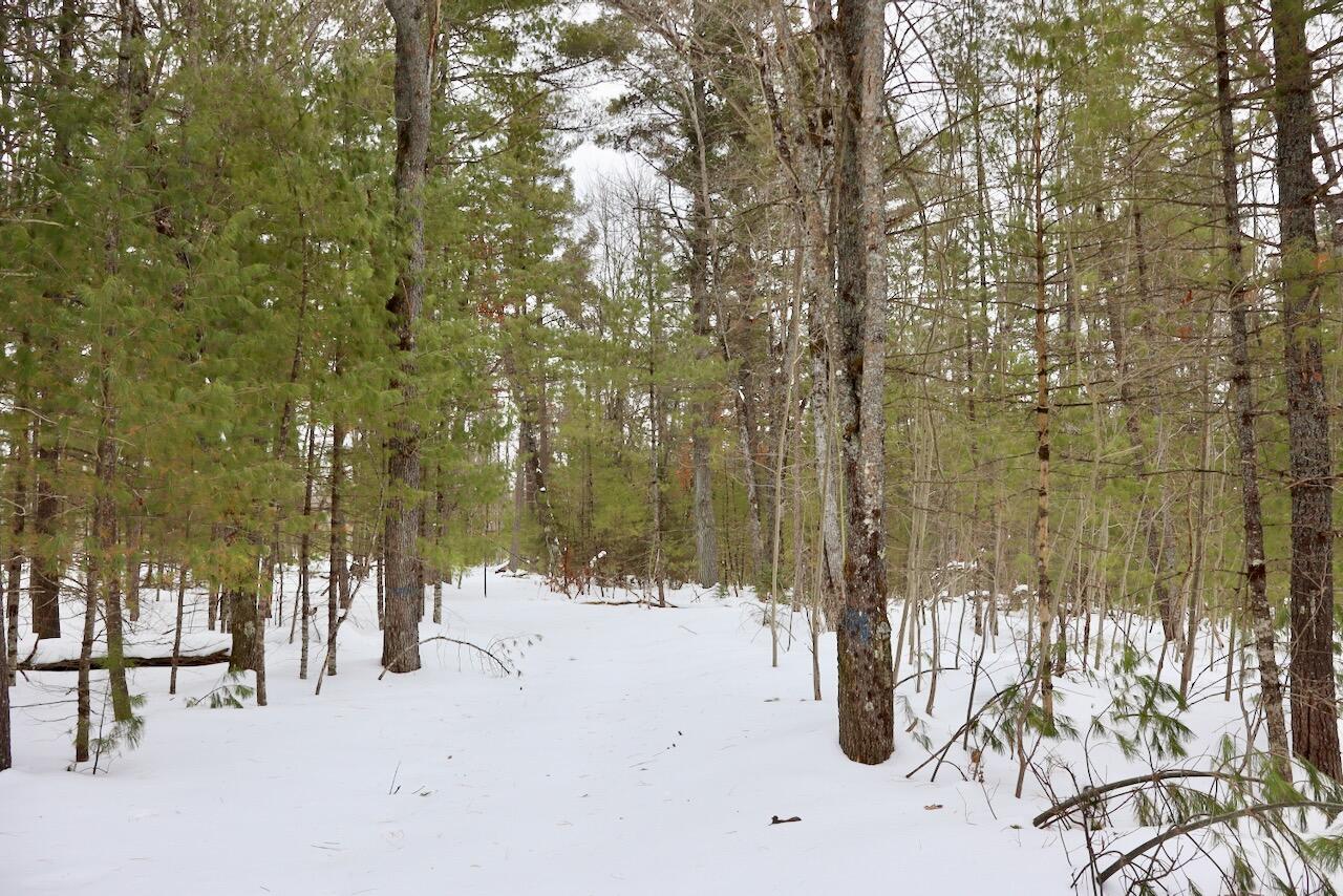 4440 Cherry Creek Road Lewiston, MI 49756 - Photo 52 of 58 IMG_1815