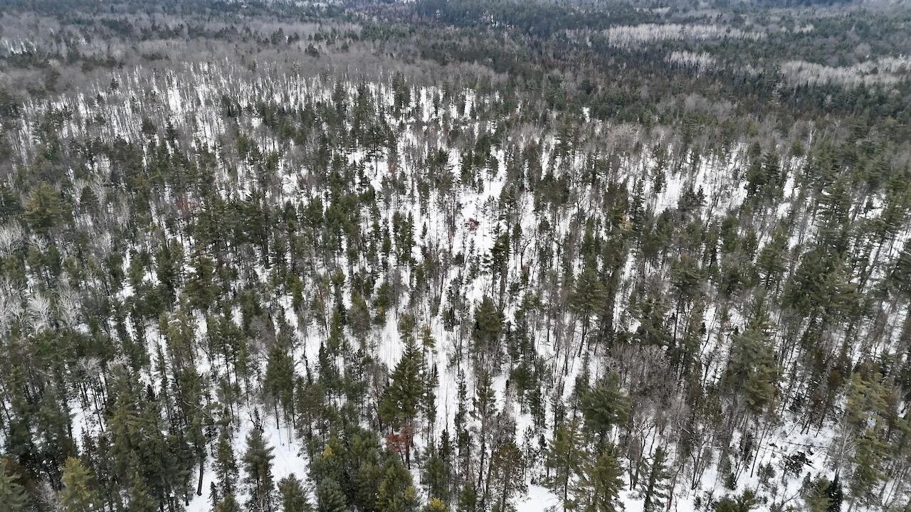 4440 Cherry Creek Road Lewiston, MI 49756 - Photo 56 of 58 Z3