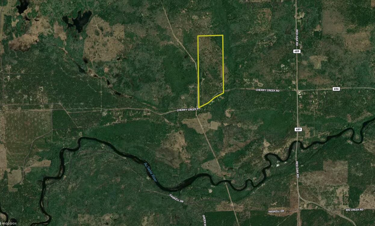 4440 Cherry Creek Road Lewiston, MI 49756 - Photo 58 of 58 Aerial002_Smith_117.3_Oscoda